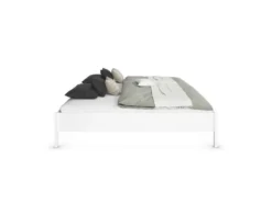 Mare Bett