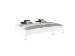 Mare Bett
