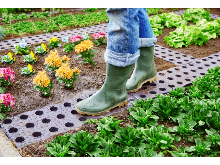 MAXI-Beetplatte 70 x 24 cm Gartenzubehör braun