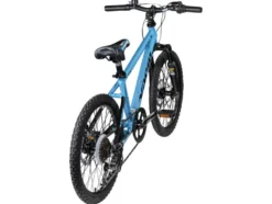 Mountainbike »XC DIABLO 20 DISK«, 20 Zoll
