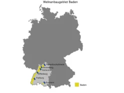 Nobilé Jahrgangssekt Blanc brut, Schaumwein 2023