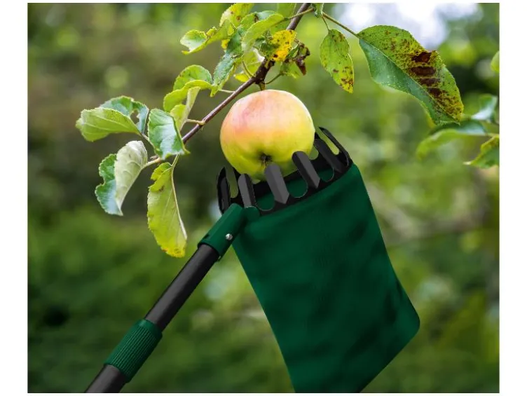 Obstpflücker / Rollsammler Teleskop