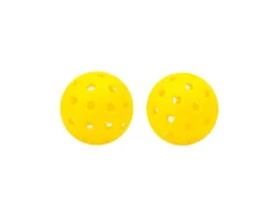 Pickleball Set Tundra