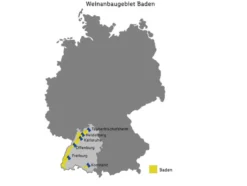 Pinot Sekt aus Baden b.A. extra trocken, Schaumwein 2022