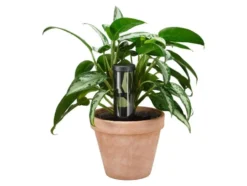 Plant Care Wasserspender, 350 ml