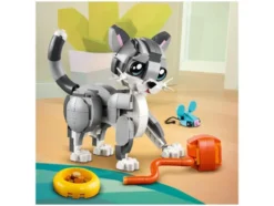 31163 Playful Cat
