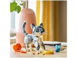 31163 Playful Cat