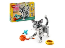 31163 Playful Cat