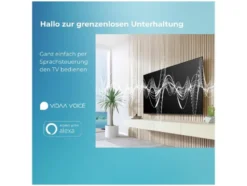 QV1563DDW QLED Smart TV VIDAA 4K Fernseher Dolby Vision HDR, Triple-Tuner