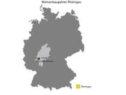 Riesling Ader VDP.Gutswein trocken vegan, Weißwein 2024