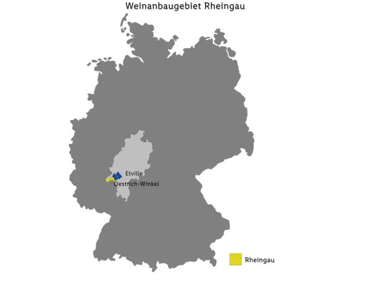 Riesling Ader VDP.Gutswein trocken vegan, Weißwein 2024