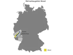 Riesling Kabinett VDP.Gutswein feinherb, Weißwein 2024