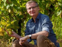 Riesling Sekt brut, Schaumwein