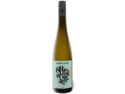 Riesling & Weißburgunder Pfalz QbA trocken, Weißwein 2024