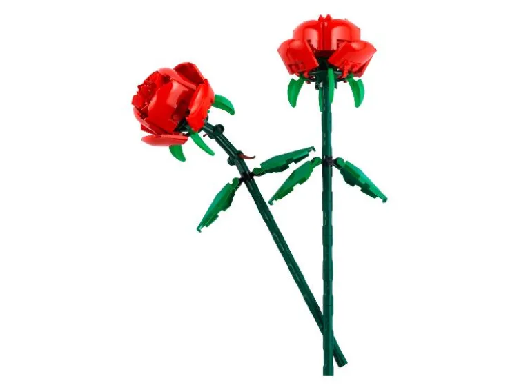 40460 »Rosen«