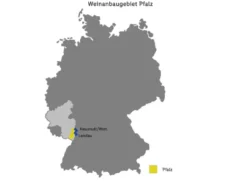 Sauvignon Blanc Rheinhessen QbA feinherb, Weißwein 2024