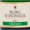 Sekt trocken, Schaumwein