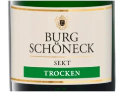 Sekt trocken, Schaumwein