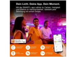 Smart Wifi Flex RGB ICT RC Indoor