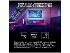 Smart Wifi Flex RGB ICT RC Indoor
