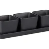 Snack-/Dipschalen-Set, 4-teilig