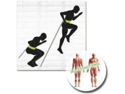 Speed Trainer Pro