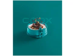 Springform Mini mit Glasboden Ø 12 x 5 cm