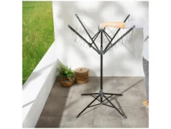 Standwäschespinne