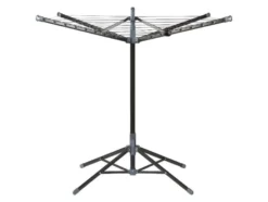 Standwäschespinne