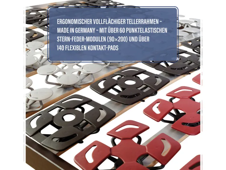 Tellerlattenrost, Teil- oder Vollmodul