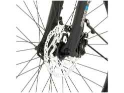 Trekking E-Bike Viator 4.2i 28 Zoll