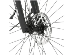 Trekking E-Bike Viator 4.2i 28 Zoll