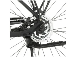 Trekking E-Bike Viator 4.2i 28 Zoll