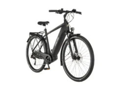 Trekking E-Bike Viator 4.2i 28 Zoll