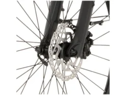 Trekking E-Bike Viator Move 28 Zoll