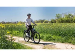 Trekking E-Bike Viator Move 28 Zoll