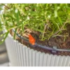 Tropfbewässerung Set »Micro-Drip-System«, wassersparend