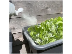 Urgesteinsmehl »Diabas«