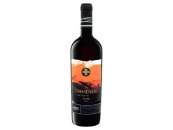 Valle del Rapel Carménère Gran Reserva trocken, Rotwein 2021