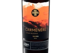 Valle del Rapel Carménère Gran Reserva trocken, Rotwein 2021