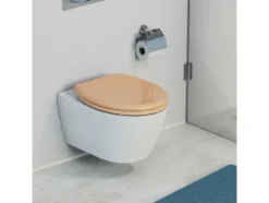 WC Sitz, mit Absenkautomatik und Schnellverschluss