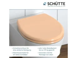 WC Sitz, mit Absenkautomatik und Schnellverschluss