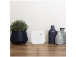 WLAN-Rauchmelder »FSM-12601«, mit App-Benachrichtigung