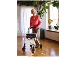 Wohnraum Rollator »Pit«, klappbar