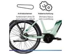 X850 E- Bike, Gates Carbon Antriebsriemen