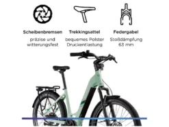 X850 E- Bike, Gates Carbon Antriebsriemen