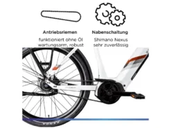 X850 E- Bike, Gates Carbon Antriebsriemen