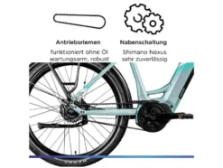 X850 E- Bike, Gates Carbon Antriebsriemen