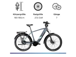 X850 E- Bike, Gates Carbon Antriebsriemen