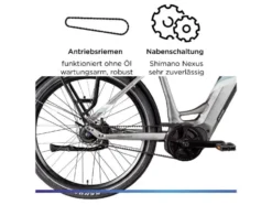 X850 E- Bike, Gates Carbon Antriebsriemen